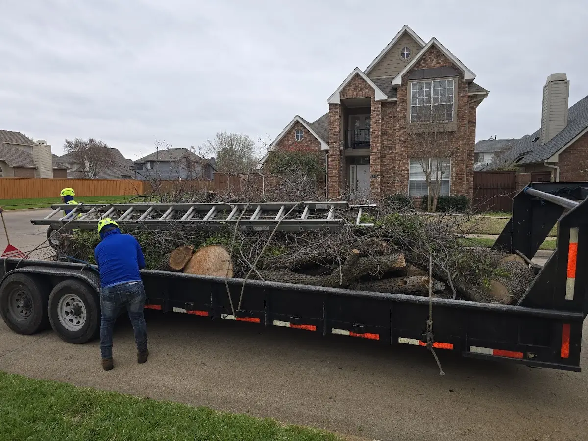 Expert Lot Clearing with proper safety equipment in Clyo